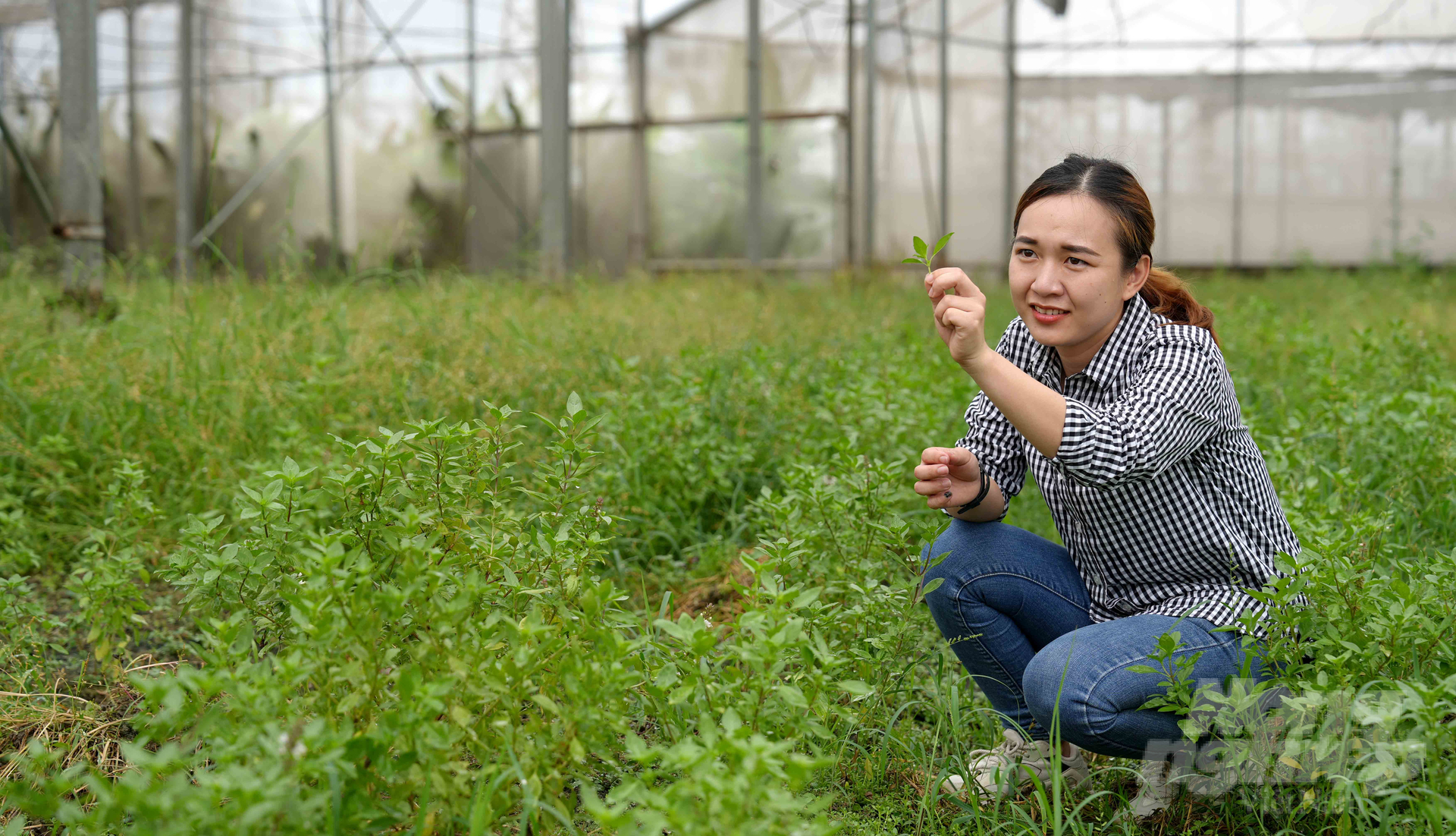 Thực phẩm hữu cơ được cho là 'cứu cánh' cho người Việt khi hạn chế được những tác hại từ hóa chất và dùng làm dược liệu trong mỗi bữa ăn. Ảnh: Lê Bình.