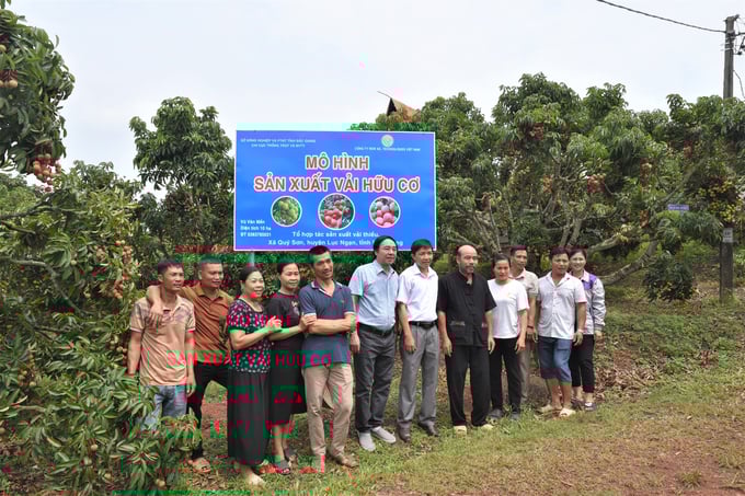 Thành viên Tổ hợp tác sản xuất vải thiều xã Quý Sơn và các cán bộ, chuyên gia tham quan mô hình. Ảnh: Phạm Hiếu.
