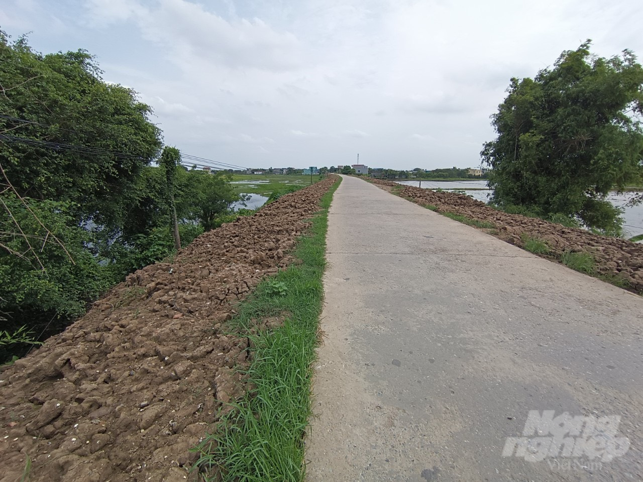 z4444989560742_aff34c1cab424935d0c8cb1dea2a061e-145017_77.jpg Đoạn tu bổ đê xung yếu đi qua hai xã của huyện Nam Trực. Ảnh: Kiên Trung.