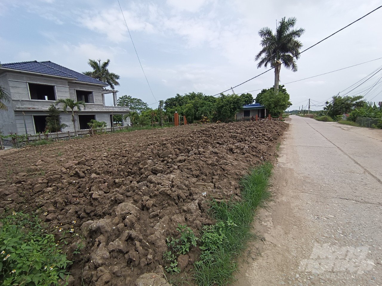 z4444992671507_034e7fa7ebf923874c30cae6d24ee22c-144832_626.jpg Bãi tập kết đất vật liệu để chuẩn bị thi công áp mái đê. Ảnh: Kiên Trung.