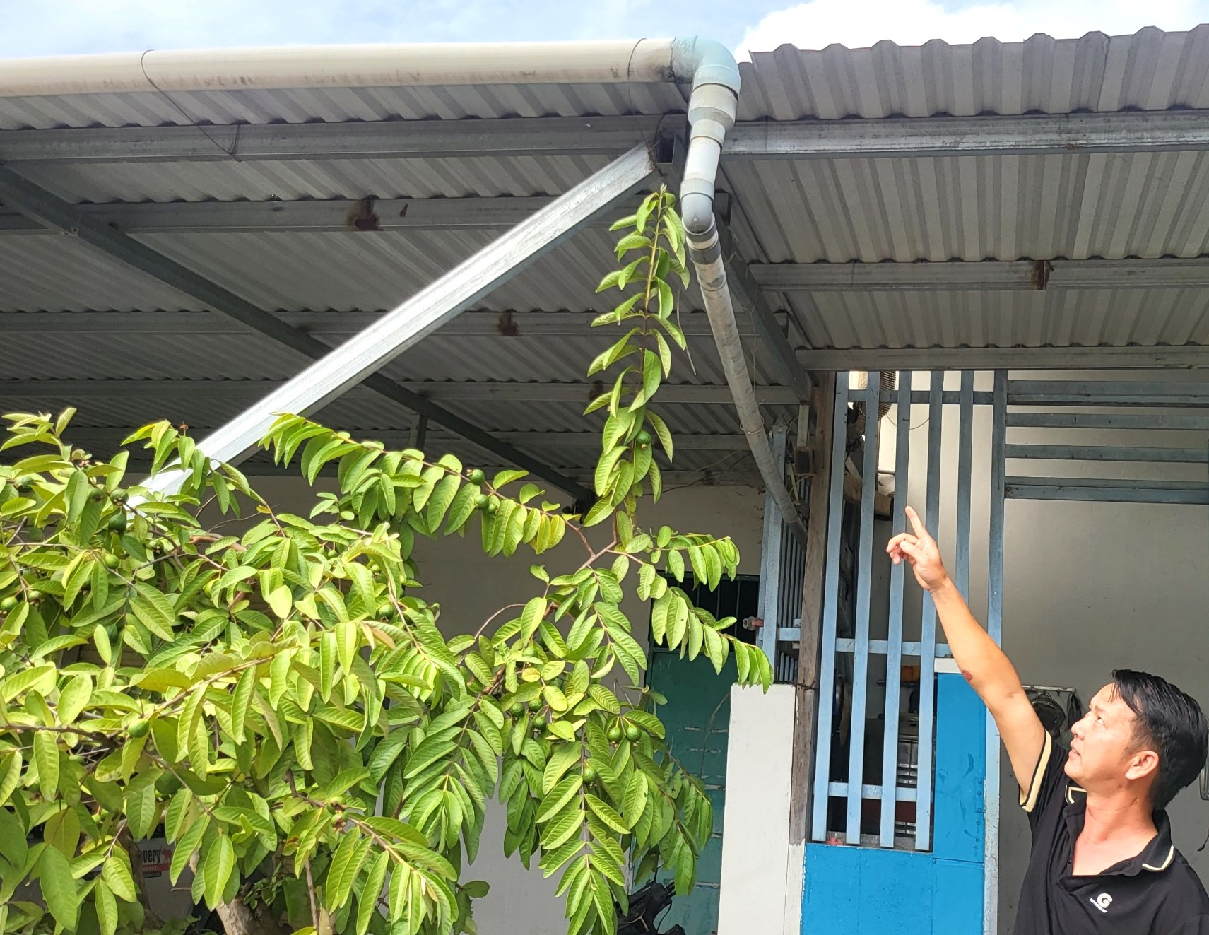 Do nước của công trình cấp nước bị đục, hộ anh Hiệp làm hệ thống ống để hứng nước mưa về sử dụng. Ảnh: Đăng Lâm.
