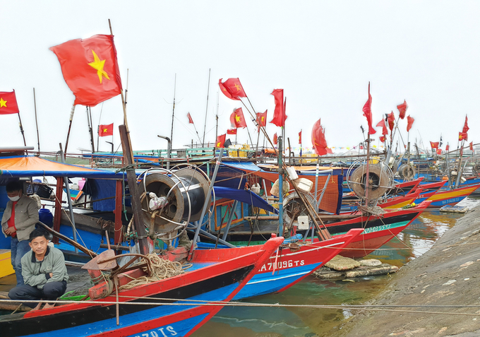 tau-ca2-102016_839.jpg Hiện nhiều ngư dân không quan tâm tới giấy chứng nhận an toàn kỹ thuật tàu cá. Ảnh minh họa: Thanh Nga.