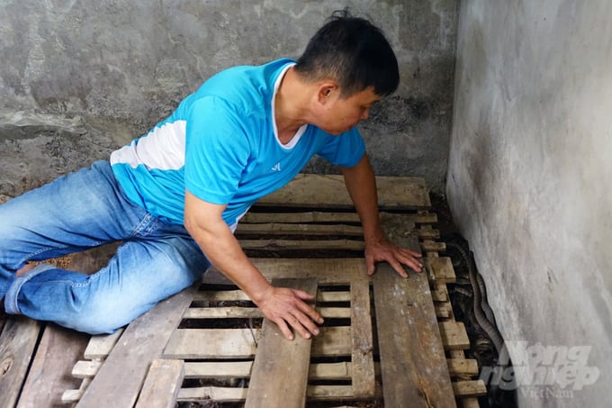 vo-van-dung-bao-nnvn-2-213224_231.jpg Chuồng nuôi rắn phải thoáng mát vào mùa hè, khô ráo, ấm áp về mùa đông, được lót tre, gỗ thành các hang hốc nhân tạo. Ảnh: Võ Dũng.