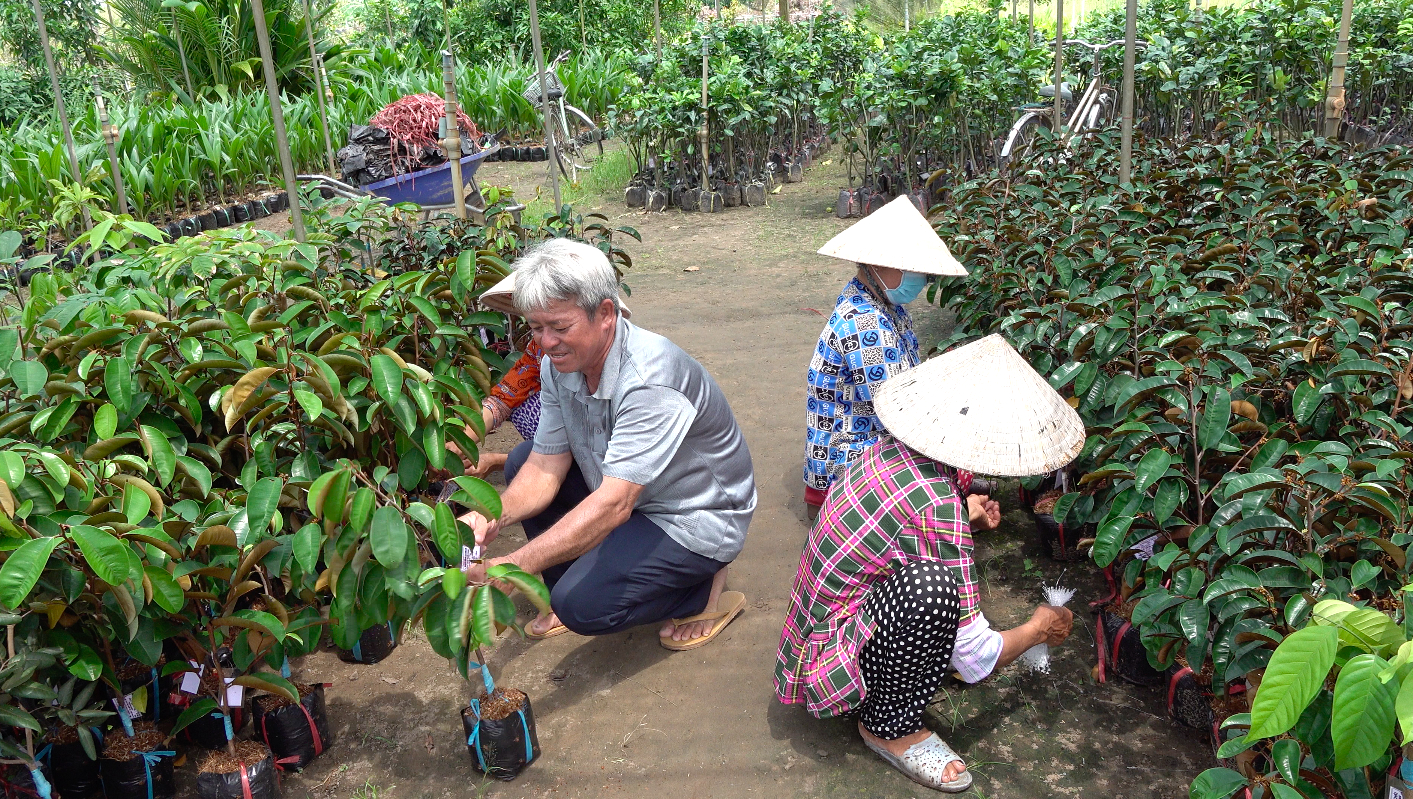 chuoi-gia-tri-hoa-kieng-052042_287.jpeg Lĩnh vực cây giống - hoa kiểng là thế mạnh của Bến Tre, hiện có 13 HTX tham gia chuỗi giá trị này. Ảnh: Kiều Nhi.