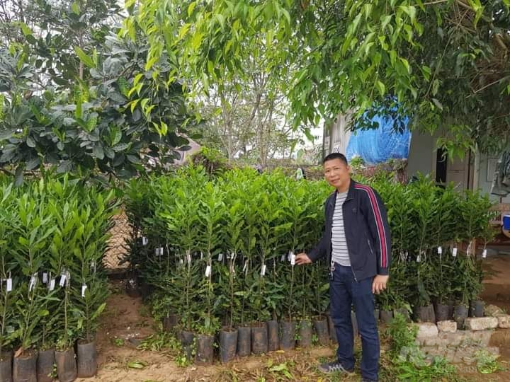 ong-duong-tien-thanh-gd-cty-thuong-mai-va-dich-vu-bao-ngoc-kiem-chu-tich-chu-tich-chi-hoi-mac-ca-nghe-an-phan-khoi-boi-vuon-giong-mac-ca-phat-trien-tot-dam-bao-cac-tieu-chuan-ky-thuat-105058_325.jpg Ông Dương Tiến Thành, Giám đốc Công ty TNHH Thương mại và Dịch vụ Bảo Ngọc phấn khởi khi vườn ươm giống mắc ca phát triển tốt, đảm bảo các tiêu chuẩn kỹ thuật. Ảnh: HQ.