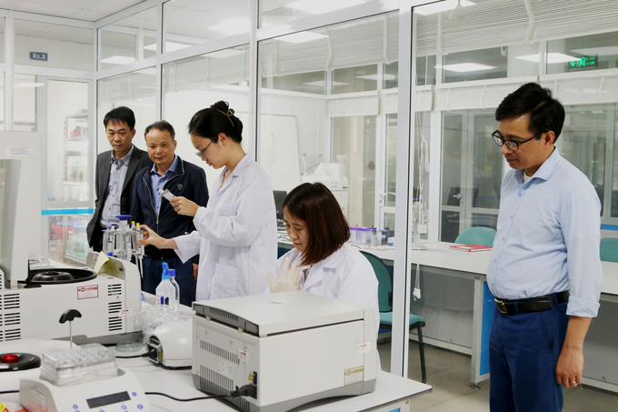 The scientific researches conducted by the Research Institute for Marine Fisheries have high practical application value. Photo: Dinh Muoi.