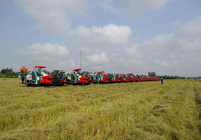 Loc Troi Group is the first enterprise to achieve 100 SRP points in rice production. Photo: Thanh Son.