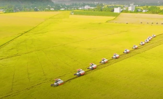 Applying mechanization in a field of Loc Troi. Photo: Thanh Son.