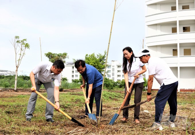 The bamboo planting activity on the campus of Kien Giang University this time aims to contribute to creating a green study environment and protecting the environmental landscape and biodiversity. Photo: Trung Chanh.