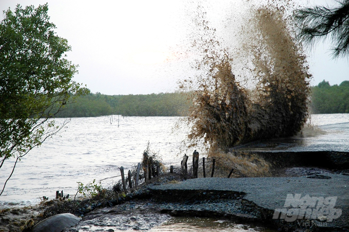 Mr. Nguyen Huu Thien, an independent expert on the ecology of the Mekong Delta: 'The riverbank had a structural damage that is unnoticeable from above the water surface'. Photo: Le Hoang Vu.