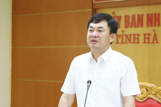 ha-tinh-muon-cham-dut-du-an-mo-sat-thach-khe-cua-tkv-022311_548.jpg Ông Ngô Hoàng Ngân - Chủ tịch Hội đồng thành viên TKV phát biểu tại cuộc họp.