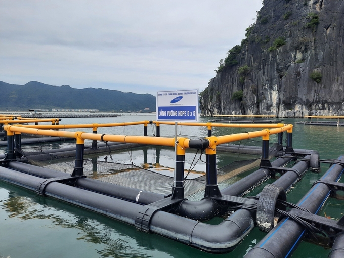 The HDPE mariculture area belonging to Phat Co Cooperative. Photo: Van Nguyen.
