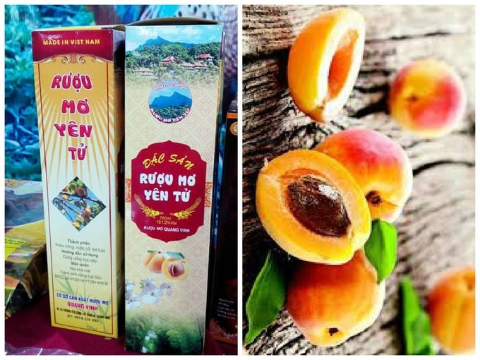 Thương hiệu rượu mơ Quang Vinh Yên Tử. Ảnh: Viết Cường.