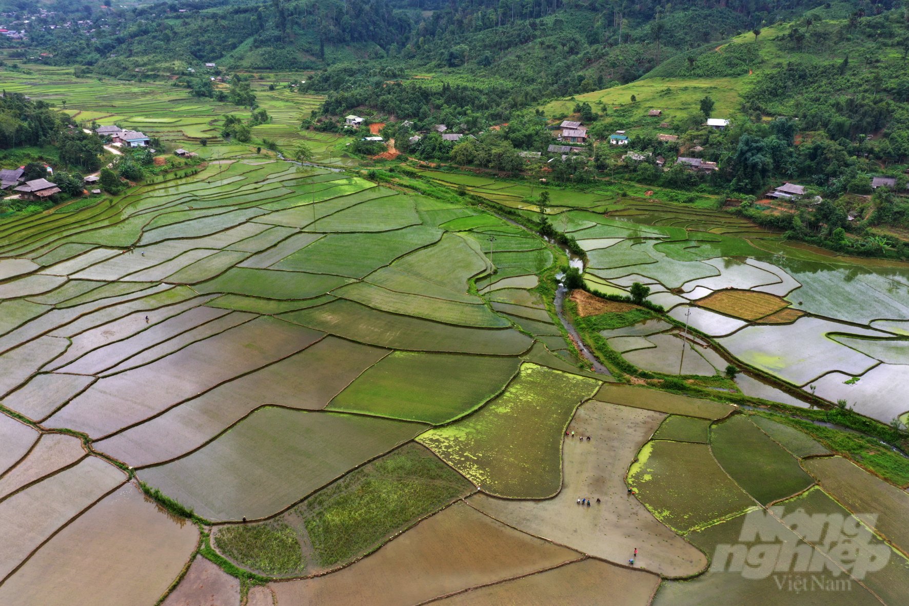 Thời điểm ruộng bậc thang trở nên đẹp nhất là khi bình minh bắt đầu ngày mới hoặc khoảnh khắc hoàng hôn của mỗi ngày. Ảnh: Thanh Miền.