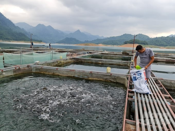Trịnh Văn Hà, người sở hữu nhiều lồng cá nhất ở làng chài Bến Thủy. Ảnh: Đào Thanh.