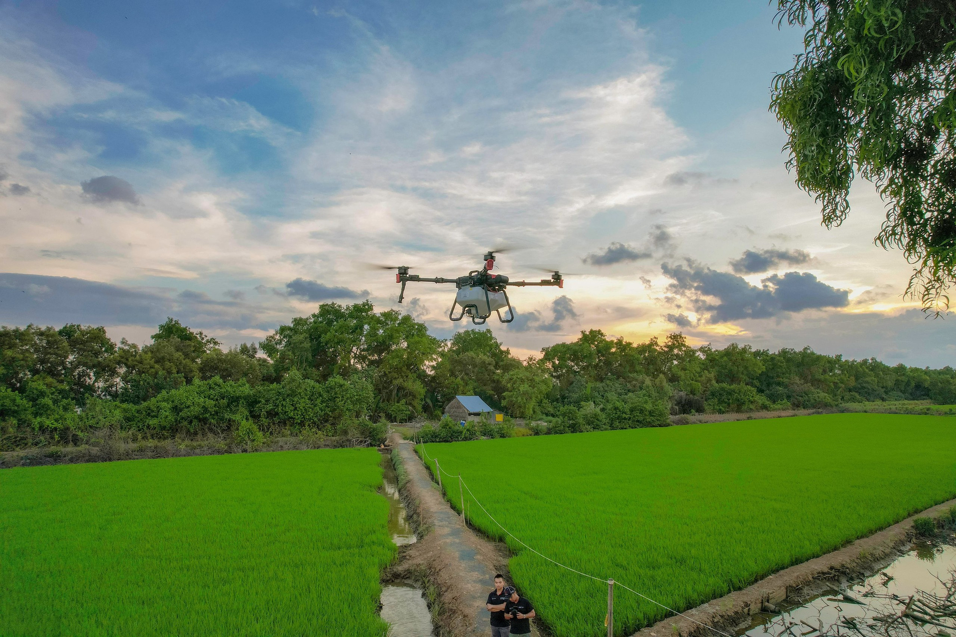 drone-xag-p100-pro-va-kha-nang-phat-trien-nong-nghiep-cong-nghe-cao-234222_183.jpg XAG P100 Pro có tải trọng lớn nhưng lại có thể gấp gọn, tiện cho vận chuyển.