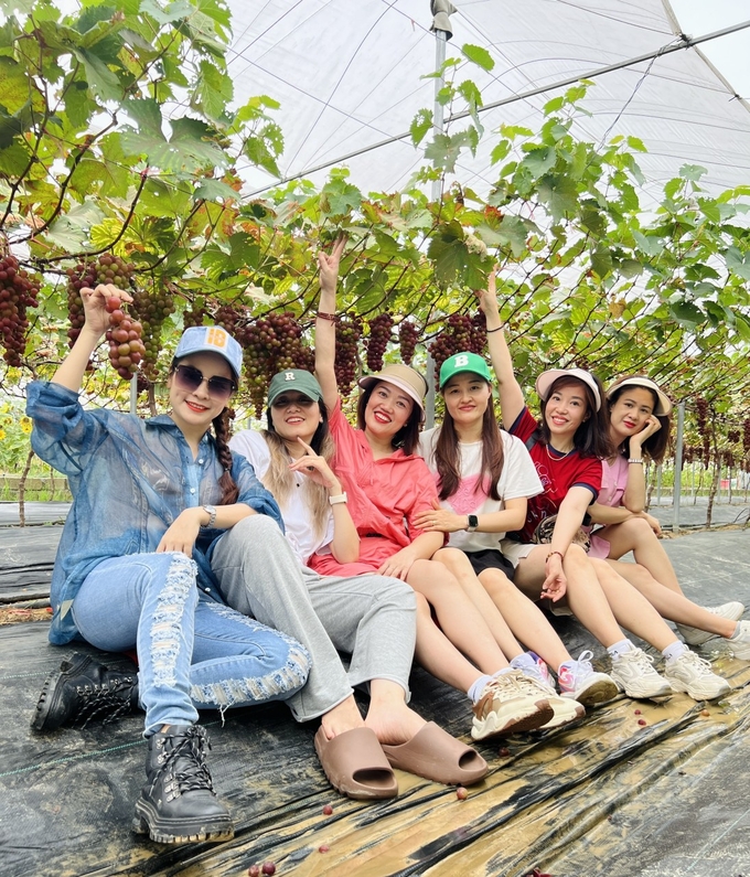 Vườn nho của anh Minh thu hút rất đông khách tới tham quan, trải nghiệm và trực tiếp mua sản phẩm. Ảnh: QT.