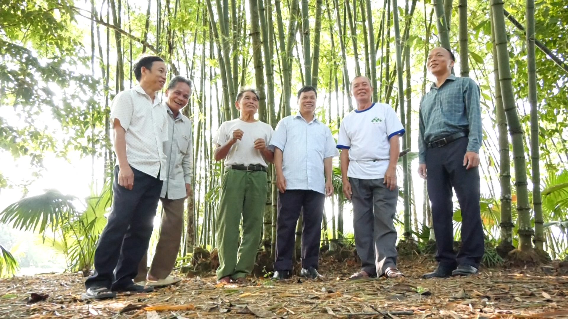 Với thế mạnh về cây luồng, hiện nhiều hộ dân ở Lang Chánh đã có thu nhập ổn định từ trồng rừng. Ảnh: Ngọc Thỏa.