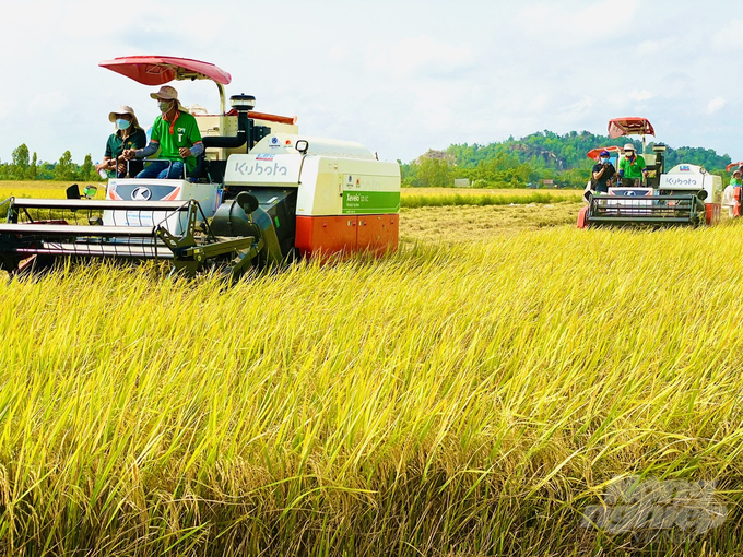 anh-2-113538_168-113538.jpg Mô hình liên kết sản xuất lúa gạo với Tập đoàn Lộc Trời tại HTX Bình Thành, huyện Thoại Sơn, An Giang. Ảnh: Lê Hoàng Vũ.