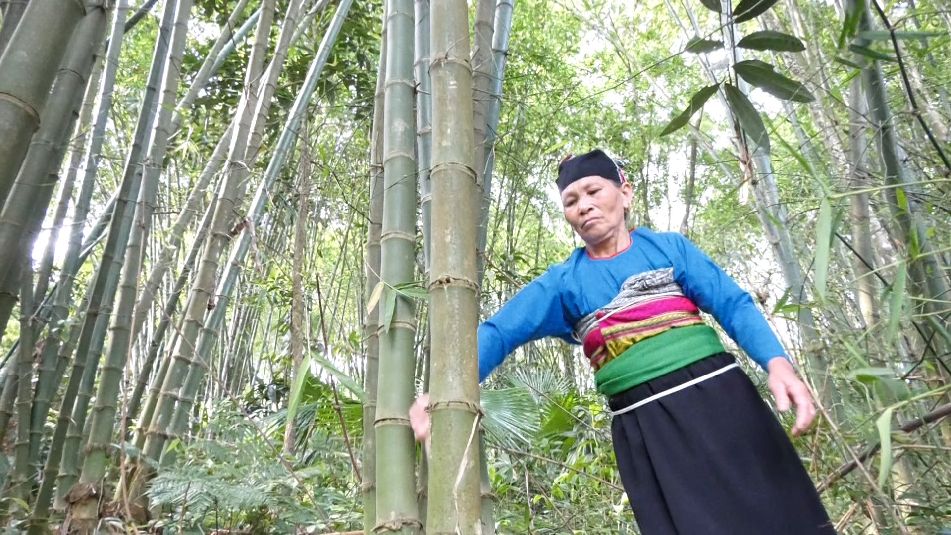 Với hơn 2,3ha luồng, mỗi năm cho gia đình bà Lương Thị Đào ở thôn Nê Cắm (xã Đồng Lương, huyện Lang Chánh, Thanh Hóa) nguồn thu ổn định khoảng 30 triệu đồng. Ảnh: Ngọc Thỏa.