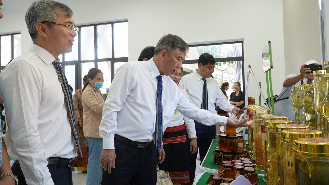 Cinnamon is processed into many different products with high economic value. Photo: L.K.