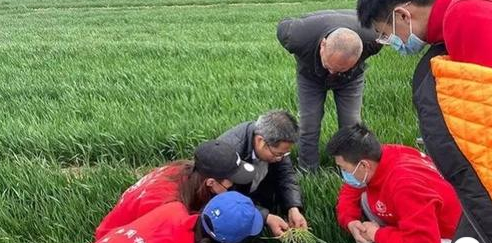 The programs have nurtured about 100 graduate students and more than 80,000 farmers equipped with technological skills.