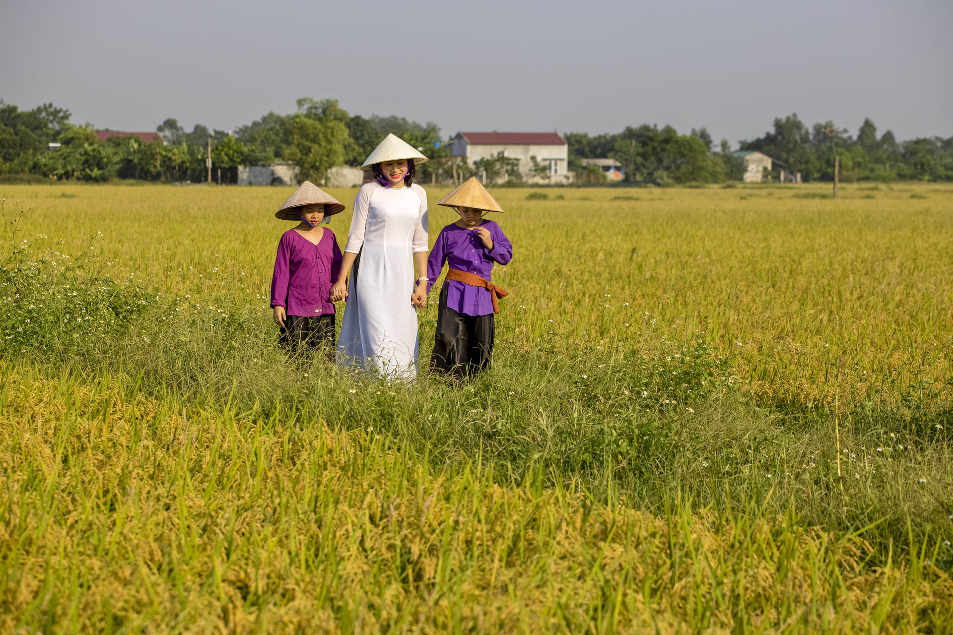 anh-16-184506_238.jpg Cánh đồng hữu cơ ở Đồng Phú trở thành nơi nhiều người đến chụp ảnh.