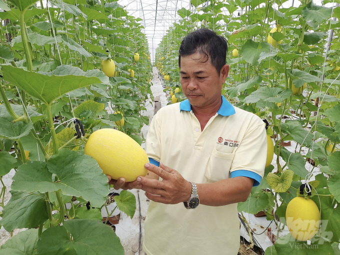 HTX nông nghiệp cộng đồng góp phần thay đổi làng quê, xóa tan nỗi lo của nông dân về đầu ra. Ảnh: Hồ Thảo.
