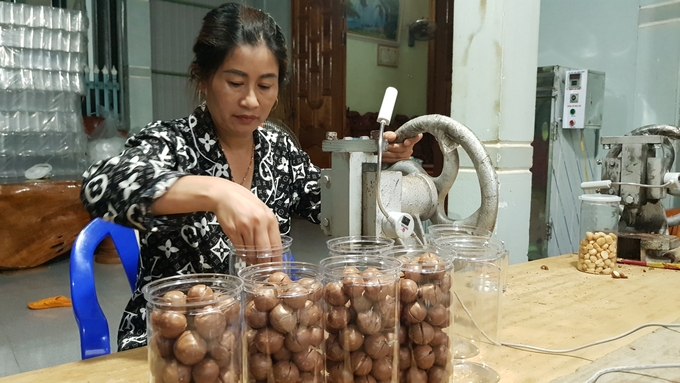 Nhiều hộ dân ở huyện Kbang đã mua máy về sơ chế mắc ca nhằm nâng cao giá trị. Ảnh: Tuấn Anh.