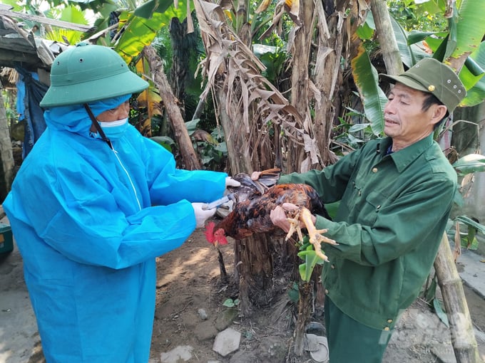 bai-3-1-152643_846-152644.jpg Khi kiện toàn lại, công tác phối hợp thực hiện nhiệm vụ chuyên môn trong lĩnh vực thú y, BVTV sẽ tạo tính đồng bộ và kịp thời. Ảnh: Việt Khánh.