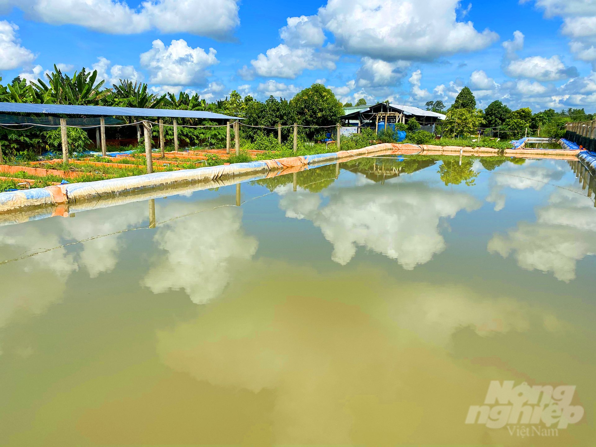 Giờ đây, trại lươn giống Tam Lộc của anh Lộc đã nổi tiếng gần xa, lươn giống sản xuất ra không đủ cung ứng cho thị trường, đem lại lợi nhuận cho anh hàng trăm triệu đồng/năm.