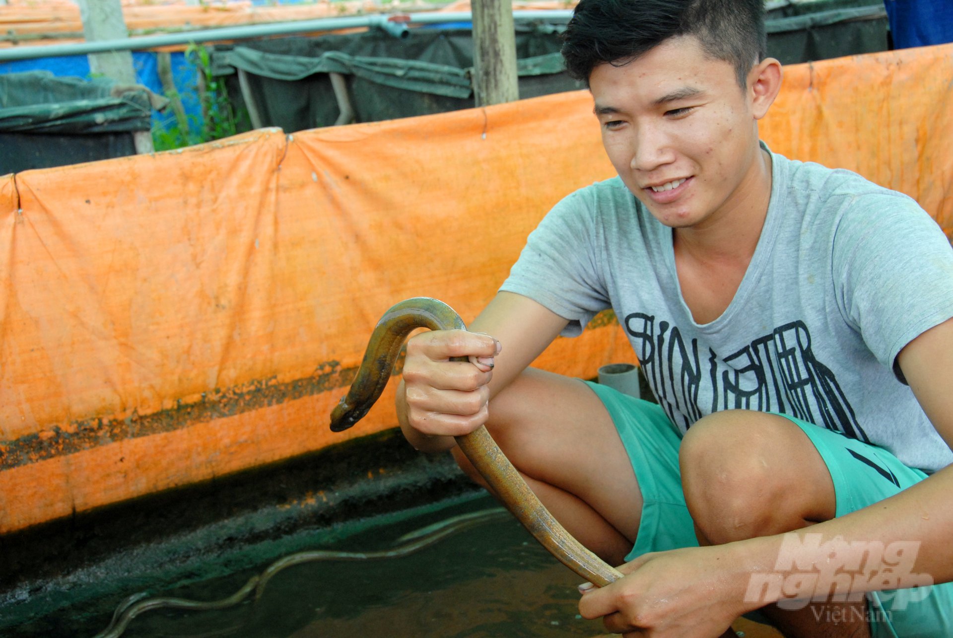 Bên cạnh nỗ lực của bản thân, anh Lộc còn được Trạm khuyến nông quận Bình Thủy thường xuyên hỗ trợ về mặt kỹ thuật và hướng dẫn tận tình về cách cho lươn sinh sản nhân tạo đạt hiệu quả. Chính vì vậy, nhiều vụ lươn vừa qua anh Lộc nuôi rất thành công và cho ra sản lượng lươn giống chất lượng cao để phục vụ cho người nuôi.