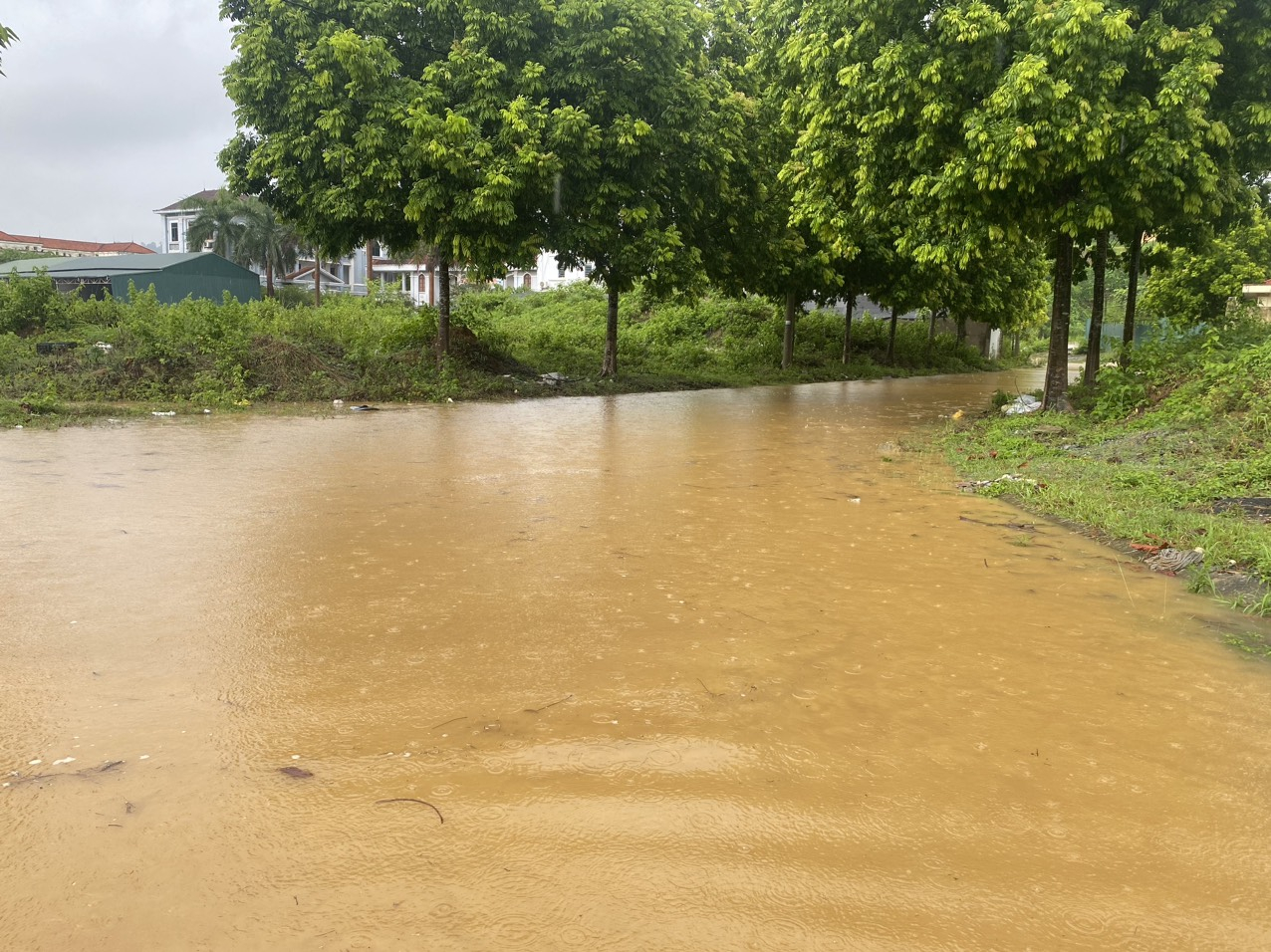 z4561853643035_0806b2642d03193f40ecdbf66c7cac66-114548_273.jpg Một đoạn đường không có ai qua lại vì bị chìm sâu trong nước.