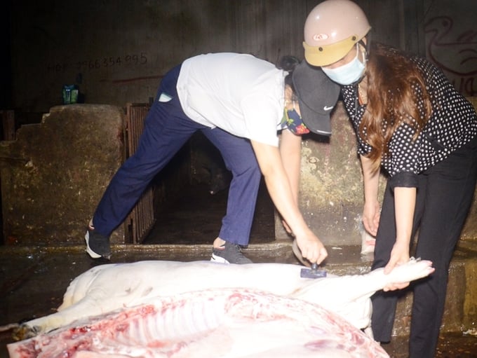 Cán bộ thú y Lào Cai đóng dấu kiểm dịch tại Cơ sở giết mổ gia súc, gia cầm tập trung Thành Công (thành phố Lào Cai). Ảnh: Thanh Tiến.