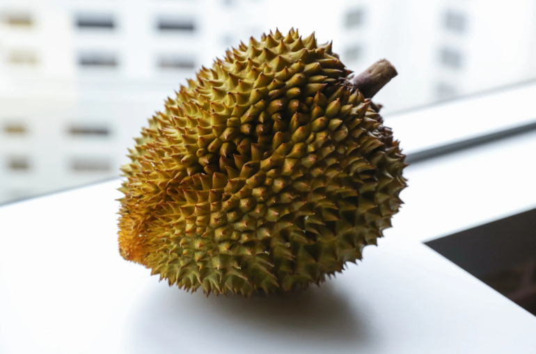 'Weak' was one scathing assessment of a durian from China’s first home-grown batch. Photo: Sun Yeung