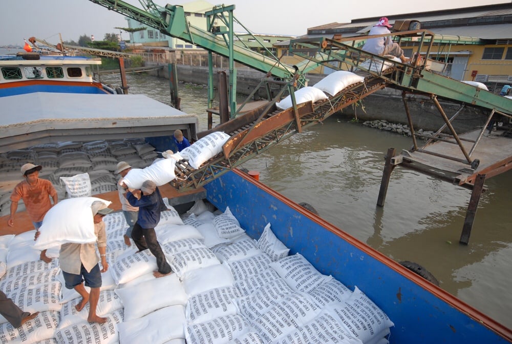 Vietnam is one of the top rice-exporting countries in the world. Photo: LHV.