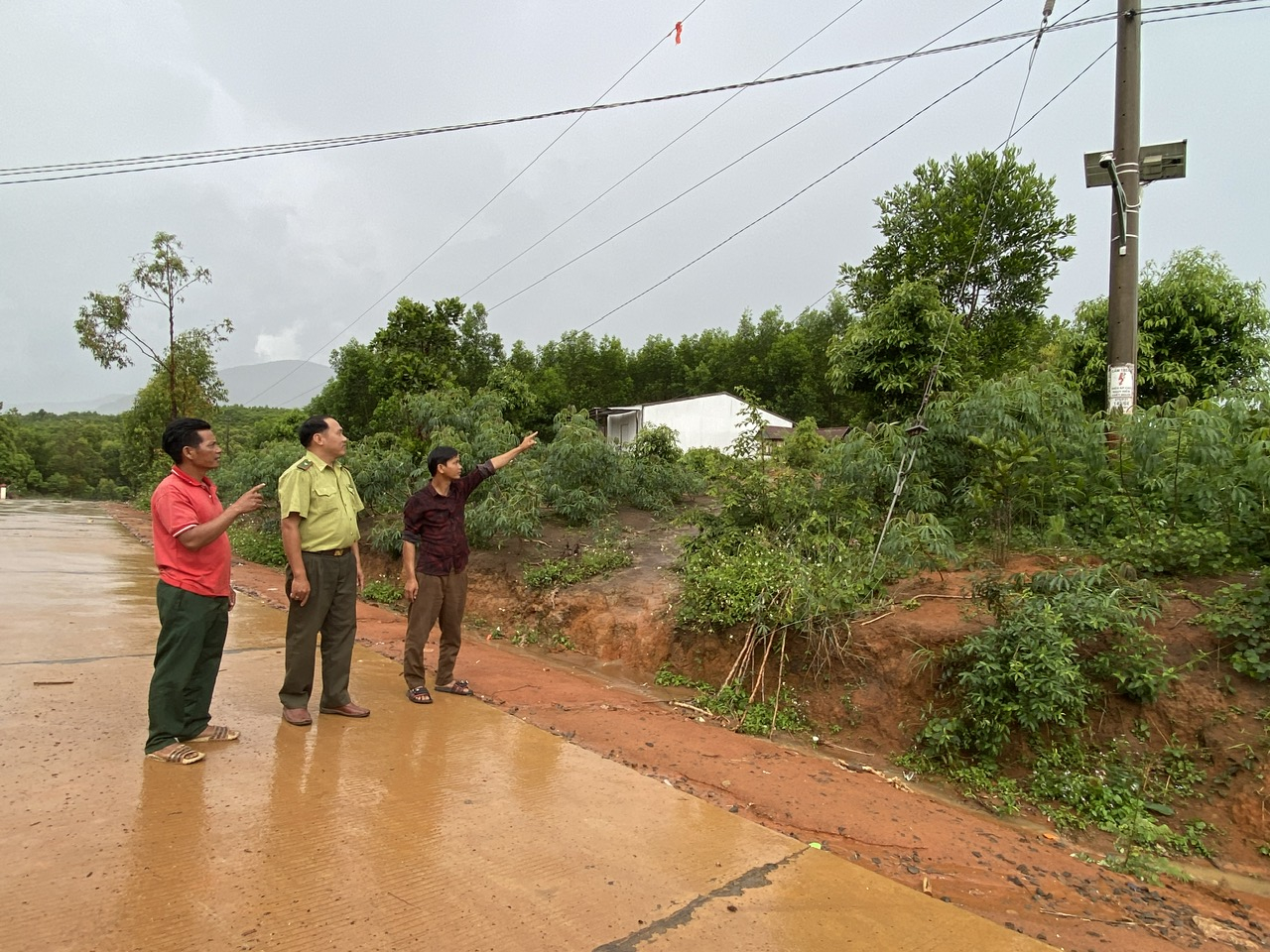 Cameras are helping functional forces to manage and protect forests more effectively. Photo: Tuan Anh.