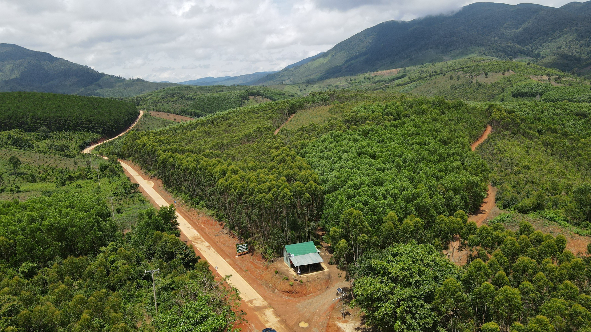 The installation of surveillance cameras, in part, helps forests to limit illegal logging. Photo: Tuan Anh.