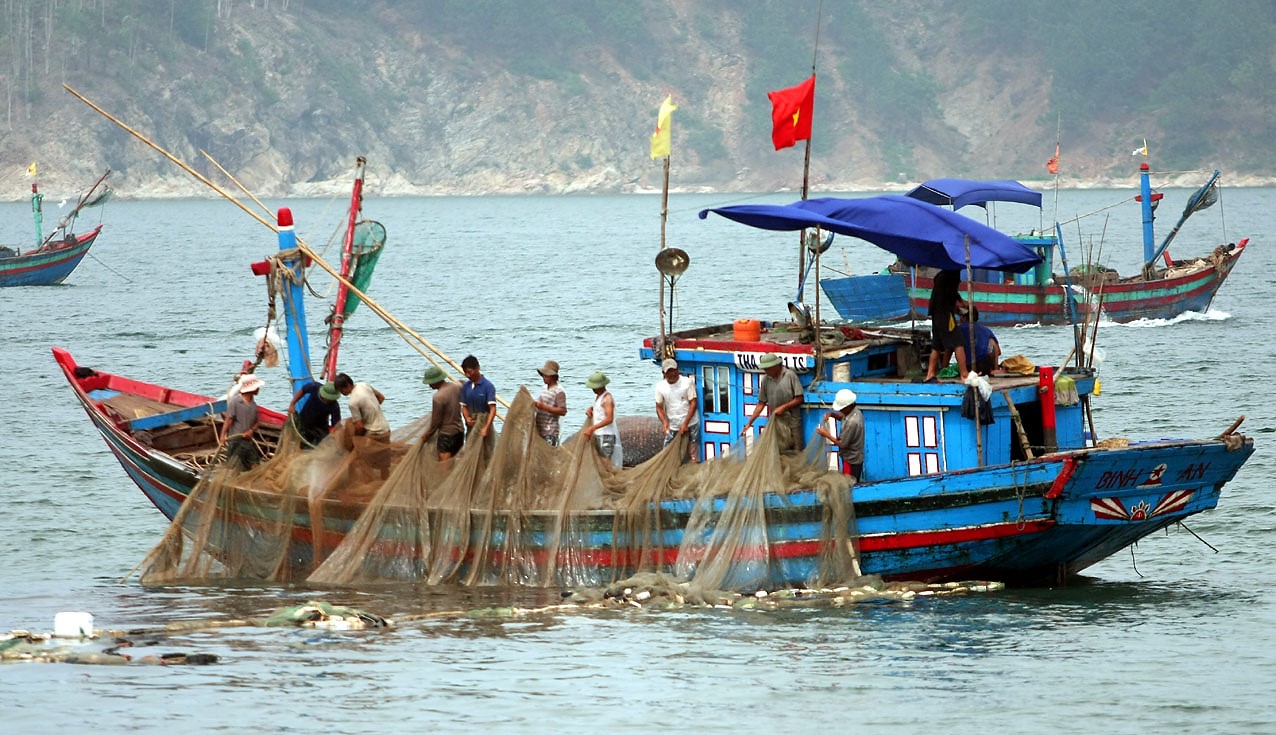 Focus on directing the implementation of strong measures to prevent and stop fishing vessels and fishermen from violating illegal fishing in foreign waters. Photo: Huy Hung.