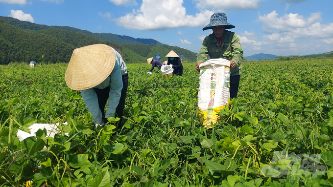 20220725_143601-212014_84-212015.jpg Tư liệu sản xuất ít ỏi, điều kiện tự nhiên khắc nghiệt khiến đời sống kinh tế của người dân Triệu Nguyên gặp muôn vàn khó khăn dù xã đã về đích nông thôn mới. Ảnh: Võ Dũng.