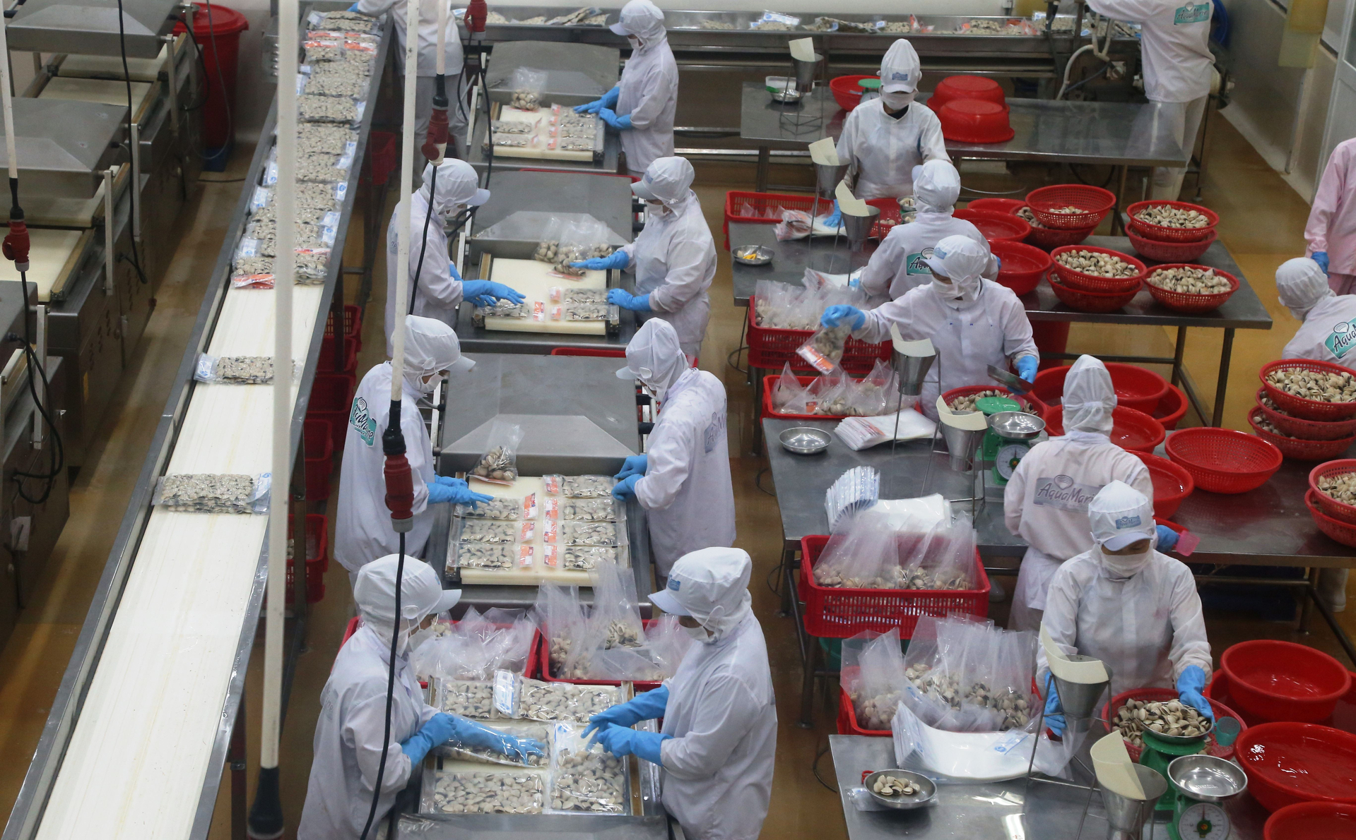 For forestry and fishery products, farmers and growers suffered losses due to the sharp drop in raw material prices. Exporters also struggled when export orders decreased by 20-50%.