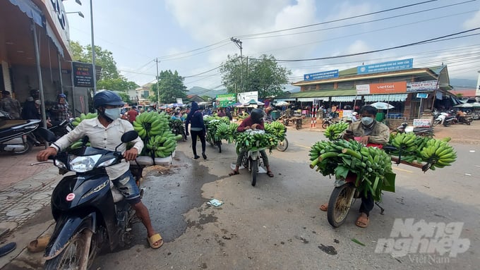20220417_085810-214105_687-214106.jpg Có hay không Hợp tác xã sản xuất, kinh doanh nông sản Thủy Nhân người dân vẫn phải mang chuối ra chợ bán. Ảnh: Võ Dũng.