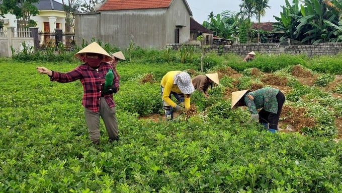 32-2268-165121_964.jpeg Sản xuất nhỏ lẻ, manh mún cũng là khó khăn khi đưa cơ giới hóa vào sản xuất cây trồng cạn chịu hạn.