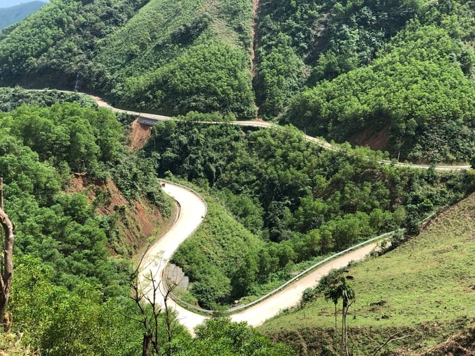Cung đường từ xã Long Môn, huyện Minh Long đi xã Sơn Kỳ, huyện Sơn Hà (tỉnh Quảng Ngãi) mướt màu xanh của rừng. Ảnh: Mỹ Hoa.