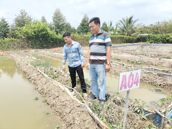 nuoi-luon-minh-dam-2-141929_528.jpg Trại nuôi lươn bố mẹ được mã hóa để truy xuất nguồn gốc. Ảnh: Minh Đảm.