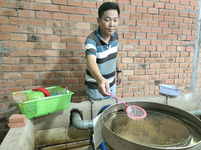 nuoi-luon-minh-dam-4-141932_362.jpg Kiểm tra trứng lươn. Ảnh: Minh Đảm.