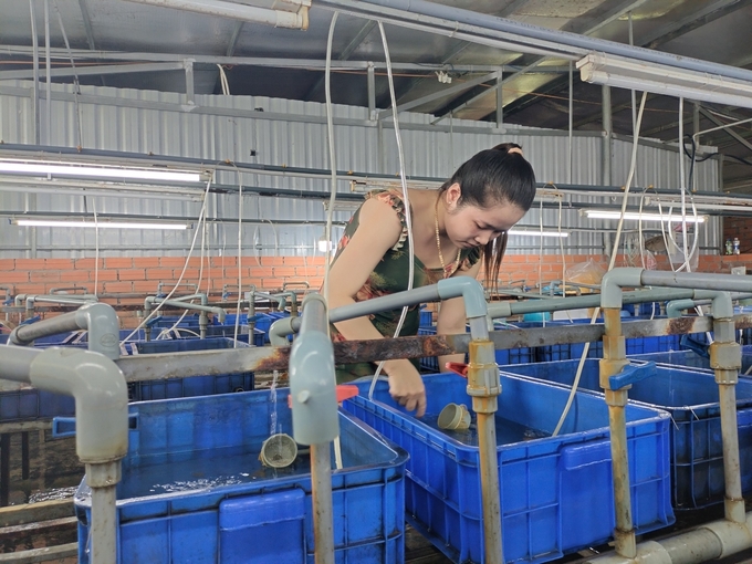 z4522180804949_f2b7125ab97166df9c3c68acb4383ff2-142620_480.jpg Người lao động được tập huấn đầy đủ các biện pháp tránh lây nhiễm chéo mầm bệnh cho lươn giống. Ảnh: Hữu Đức.