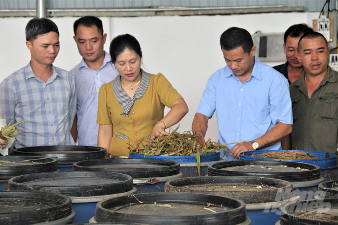 anh-7-060954_424-060956.jpg Hiện nay một số mô hình nông nghiệp theo hướng kinh tế tuần hoàn đã cải thiện rõ rệt hiệu quả kinh tế, tạo động lực để lan tỏa rộng rãi trong cộng đồng người làm nông nghiệp nên cần thêm các chính sách riêng biệt để thu hút nguồn lực đầu tư. Ảnh: Quang Linh.