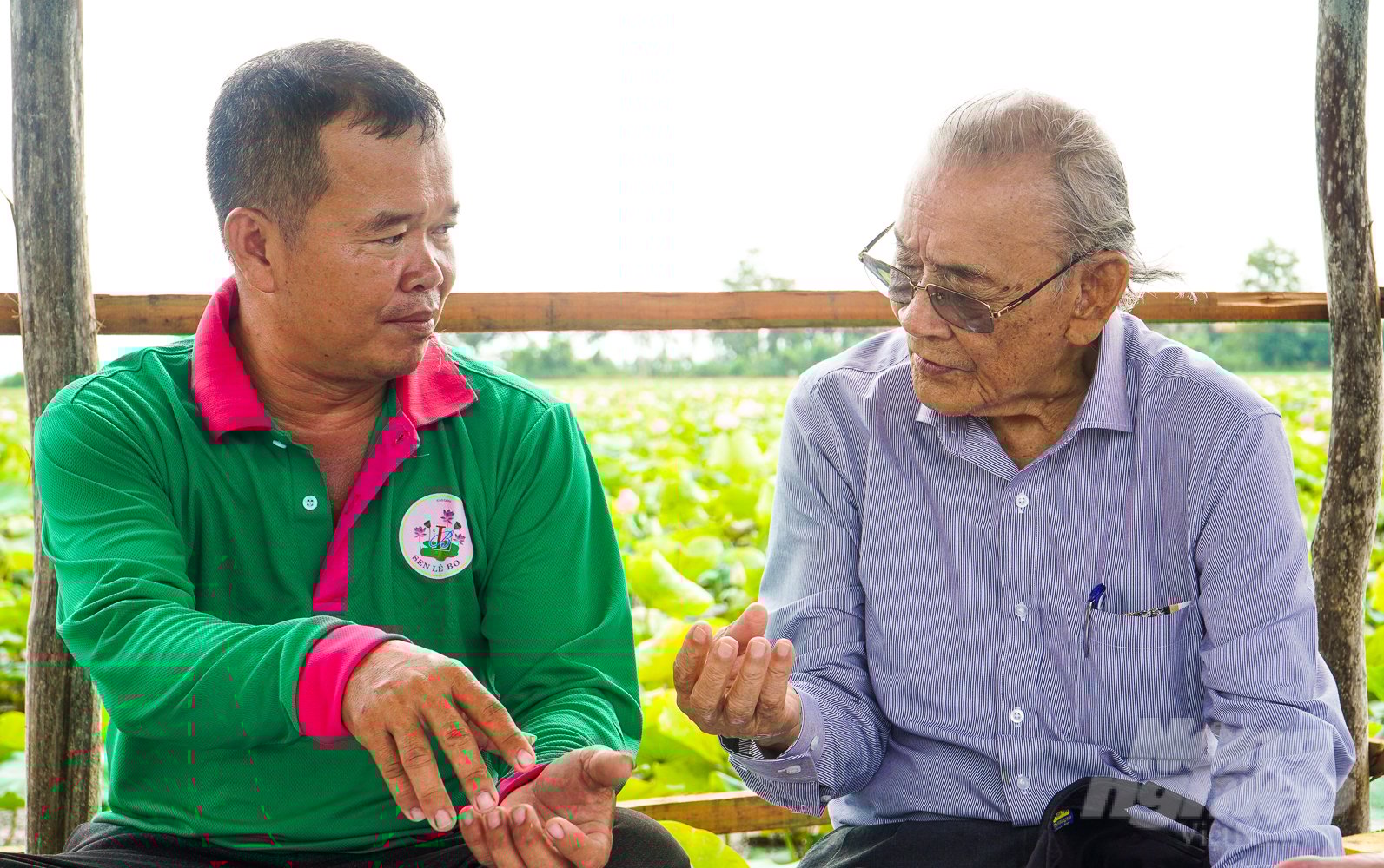 Giáo sư Nguyễn Thơ trao đổi, hướng dẫn bà con nông dân về quy trình phòng trị bệnh cho cây sen bằng chế phẩm Bio Lacto EM. Ảnh: Kim Anh.