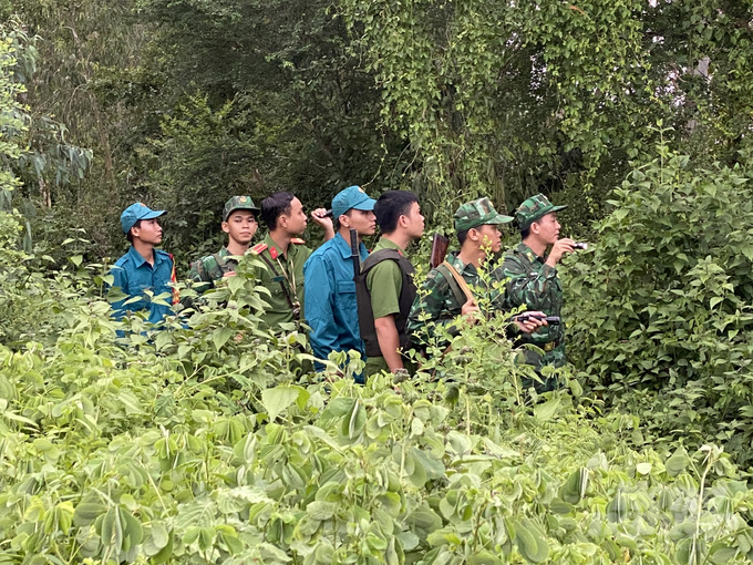 nhap-lau-heo-3-165551_651-165551.jpg Để phát hiện một vụ buôn lậu heo qua biên giới không hề đơn giản, nhất là trong điều kiện đêm tối, lực lượng biên phòng phải mật phục, luồn lách đi trong những vườn cây cặp bờ sông, xen lẫn với cỏ, sậy cao lút đầu. Ảnh: Hoàng Vũ.